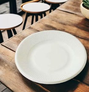 disposable paper plates